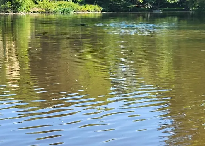 Chez Nirina Proche Puys Dufou *